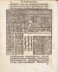 Træning og plantning i haven, fra Den hollandske gartner, af Johann van der Groen, udgivet 1699