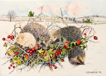 Pindsvin i Hedgerow Basket, 1996 (akryl på lærred)