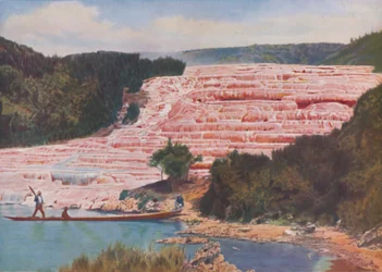 Flushed Beauty of New Zealand Pink Terrasser før deres fuldstændige ødelæggelse, c1935
