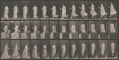 Dyrebevægelse. En elektrofotografisk undersøgelse... af dyrebevægelser. Begyndelse..., 1880