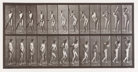 Dyrebevægelse. En elektrofotografisk undersøgelse af på hinanden følgende faser af dyr ..., 1880