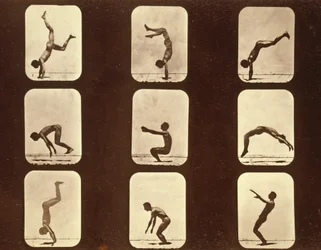 Atleter. Flip flap 