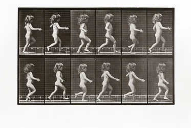 Børneløb, plade 469 fra Animal Locomotion, 1887