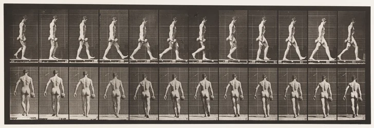 Plade 28. Gående, bærende 50 lb. Dumb-Bell i højre hånd, 1872-1885