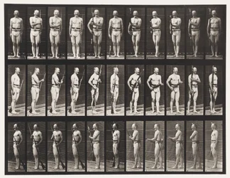 Plade 351. Fix og Unfix Bajonetter, 1872-1885