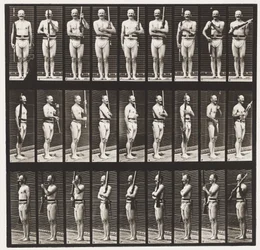 Plade 353. Støttearme og våbenhavn, 1872-1885