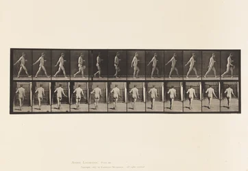 Tavle 389. Bonde, spredefrø, 1872-1885
