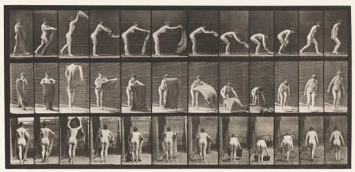 Plade 439. Spredning af et tæppe på gulvet, 1872-1885