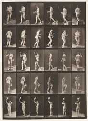 Plade 525. A, Faldende Trin; B, Stigende Trin;, 1872-1885