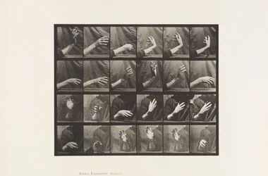 Tavle 535. Håndens Bevægelse; Beating Time, 1885