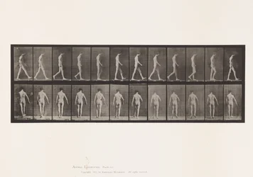 Plade 546.Locomotor Ataxia; Vandrende, 1885