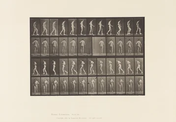 Plade 548. Lateral sklerose; A,B, Vandring, 1885
