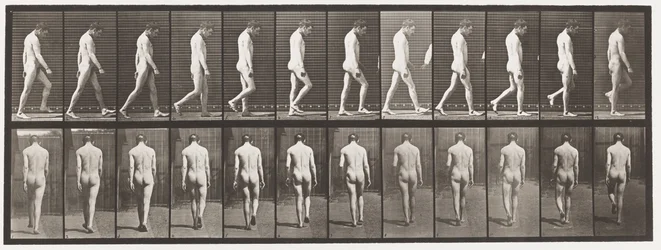 Plade 549.Epilepsi; Vandrende, 1885