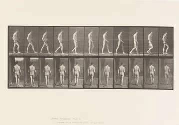 Plade 554.Locomotor Ataxia; Vandrende, 1885