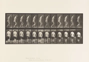Tavle 558. Paraplegi; Delvis; Vandrende, 1885