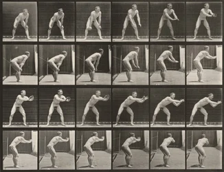 Planche nummer 280. Baseball, gribning