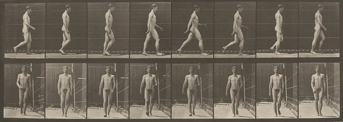 Plade nummer 5. Gående,1887 (foto)