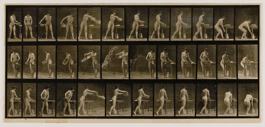 Kvinde tømmer et bassin med vand, fra bogen Animal Locomotion