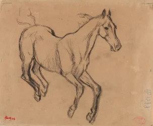 Galoperende hest