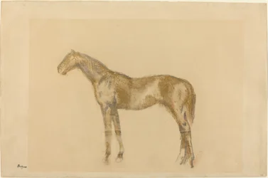 Hest, c. 1890.