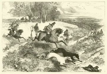 Hare coursing i England (gravering)