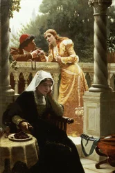 Et stjålet interview, 1888