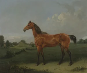 A Bay Horse in a Field (olie på lærred)