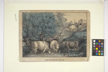 The Watering Place (håndfarvet litografi)