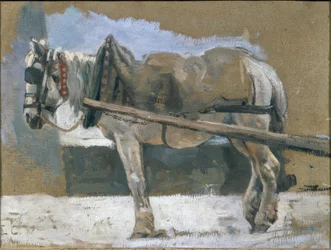 Hest i seletøj