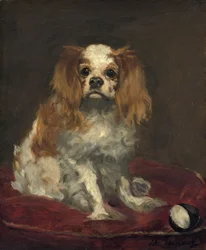 En King Charles Spaniel, ca. 1866 (olie på linned)