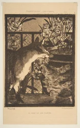 Kat og blomster. Illustration til The Cats af Champfleury, 1869.