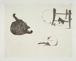 Katte, 1868-69.