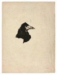 Hovedet af en ravn i profil, fra The Raven (Le Corbeau)