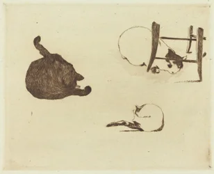 The Cats (Les chats)