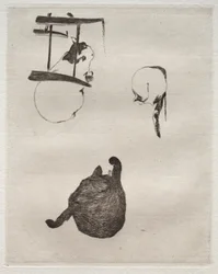 Kattene