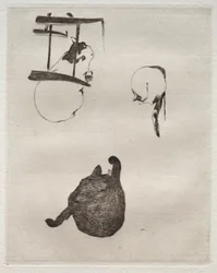 Kattene, 1868-1869.