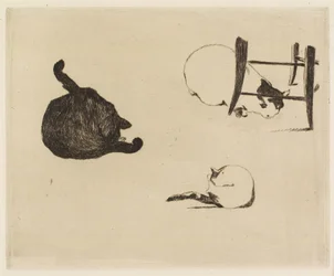 Kattene, 1869