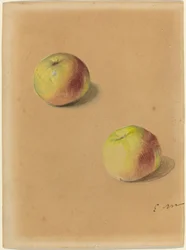 To æbler, 1880.