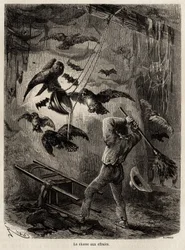 Jagt på ugler, der er tilflugt i kirken Sarayacu (Peru), tegning af Riou, for at illustrere Paul Marcoys rejse fra Stillehavet til Atlanterhavet fra 1848 til 1860. Indgravering i "" Le tour du monde"", redigeret af Edouard Charton