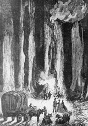 Da aftenen kom, slog man lejr ved foden af eukalyptustræer, illustration til Kaptajn Grants børn, eventyrroman af Jules Verne (1828-1905), gravering af Adolphe François Pannemaker (født 1822) efter tegning af Édouard Riou (1833-1900), 1868, Paris