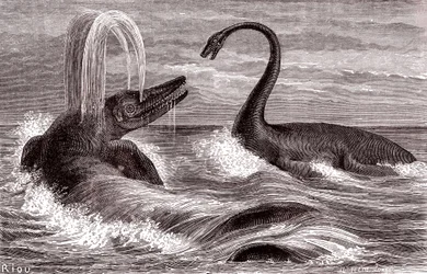 Ichtyosaurus ja plesiosaurus