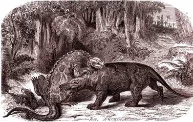 Iguanodonen og megalosaurussen (kobberstik)