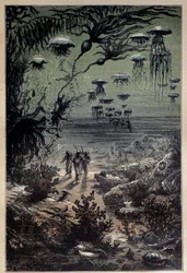 Undervandsgulv. Illustration af Edouard Riou (1833-1900) til romanen "Tyve tusinde ligaer under havene"" af Jules Verne (1828-1905) Privatsamling fra det 19. århundrede