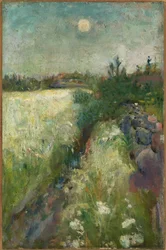 Blomstrende eng ved Veierland