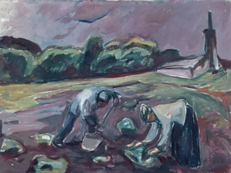 At plukke kartofler