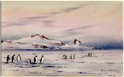 Discoverys vinterkvarter, ca. 1901-04