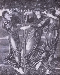 Hesperides have, Bibby