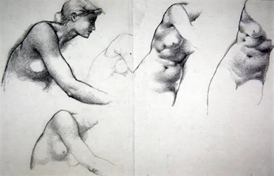 Tilgivelsens træ - Studie til figuren Phyllis, ca. 1882 (blyant på papir)