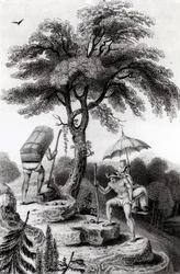 Udsigt over passet fra Quindio, illustration fra 