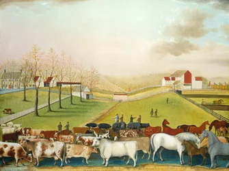 Cornell Farm